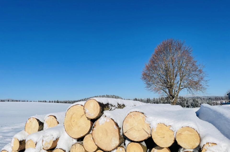 Durch Klarheit und Weitblick gestärkt sein – Aufstellungsnachmittag